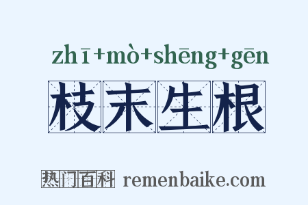 枝末生根是什么意思的图片